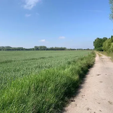 In Near The *