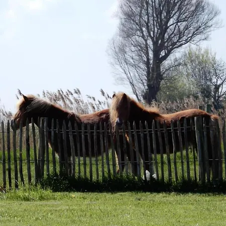 Lägenhet In Near The Nieuwpoort